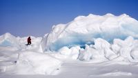 Группа детей-сирот и инвалидов покорит Северный полюс весной