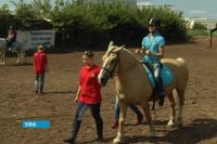 Реабилитации инвалидов поможет лечебная верховая езда