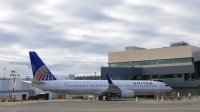 Американские инвалиды добились крупного штрафа для авиакомпании United Airlines