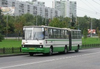 В Петербурге кондуктор автобуса избила девушку-инвалида, усомнившись в ее льготном проездном
