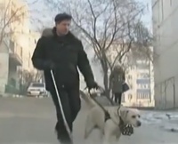 Выдворенный из поезда с собакой-поводырем инвалид доказал свою правоту в суде