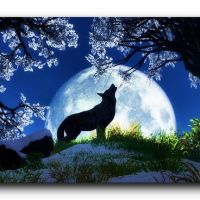 Почему волки воют на Луну
