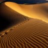Footprints_Namib_Desert_Nam.jpg