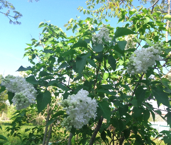 Весна продолжается