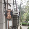 Россия, г. Светлогорск (Часть 5)