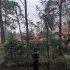 г. Светлогорск (Часть 4)