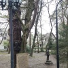 г. Светлогорск (Часть 4)