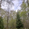 Калининградская область, г. Светлогорск (Часть 2)
