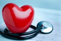 Ученые в шаге от разработки новых лекарств против сердечно-сосудистых заболеваний