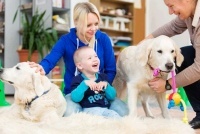 Особый ребенок и собаки. Фоторепортаж из центра канис-терапии