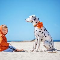 Анимотерапия - адаптация детей-инвалидов при помощи игры и общения с животных