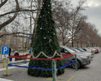 Праздничную елку в Севастополе установили на парковочном месте для инвалидов