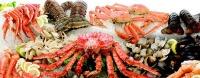 Польза морепродуктов для здоровья: устрицы, морские ежи, крабы и моллюски