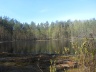 Озеро в лесу-)