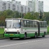 В Петербурге кондуктор автобуса избила девушку-инвалида, усомнившись в ее льготном проездном