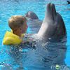 В Сочи открылся крупнейщий дельфинарий планирующий оказывать услуги дельфинотерапии
