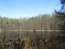 Озеро в лесу-)