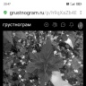 Screenshot_2026-05-24-23-47-02-638_com.opera.browser.jpg