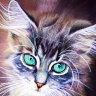 20-cat-hyper-realistic-color-pencil.jpg