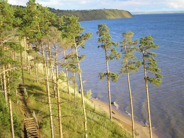 Течет река волга гамора