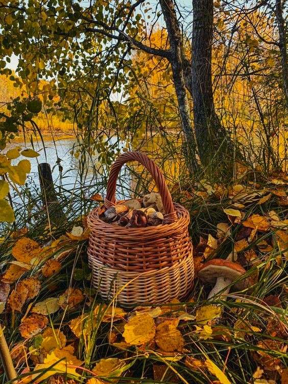 Сентябрь