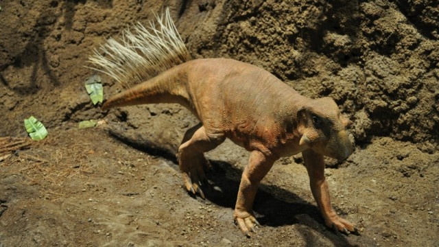 Какие динозавры жили в России?